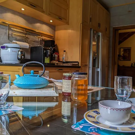 Les Marmottes Holiday home *
